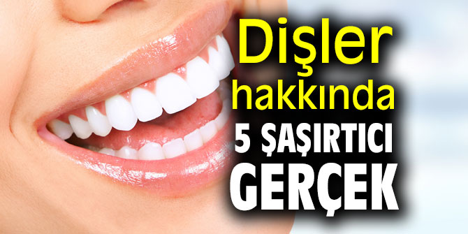 Dişler hakkında 5 şaşırtıcı gerçek