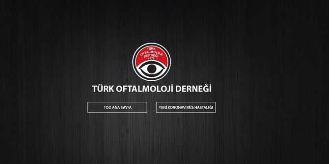 Koronavirüs günlerinde gözle ilgili merak edilenler!