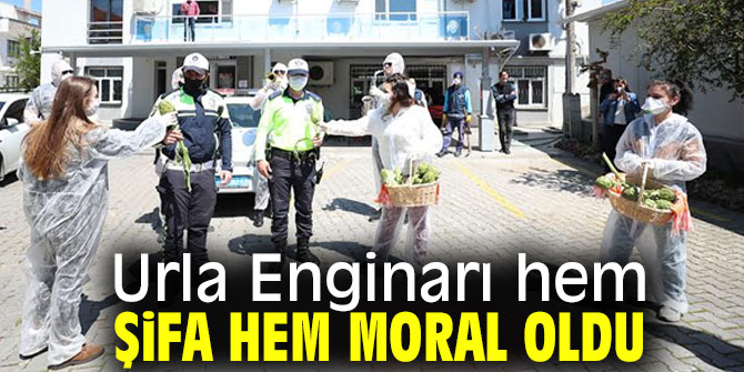 Urla Enginarı hem şifa hem moral oldu