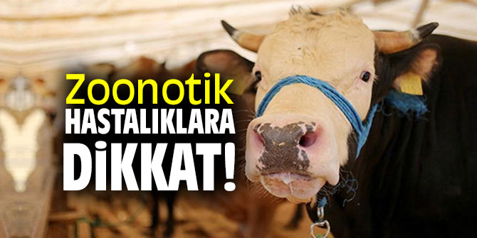 Hayvandan İnsana bulaşan zoonotik hastalıklara dikkat!