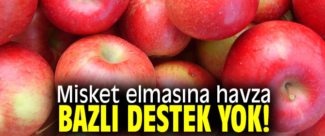 Misket elmasına havza bazlı destek yok!