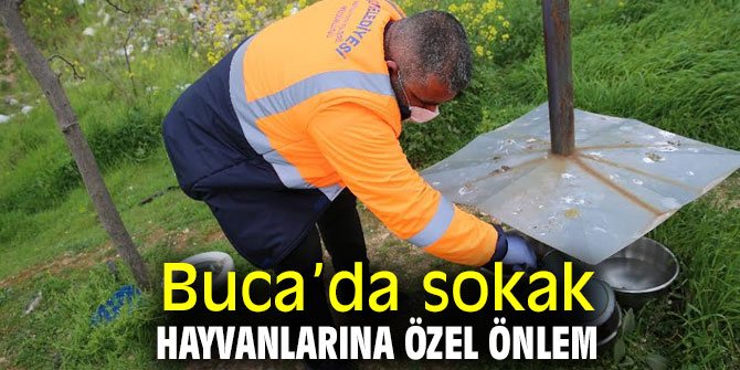 Buca’da sokak hayvanlarına özel önlem