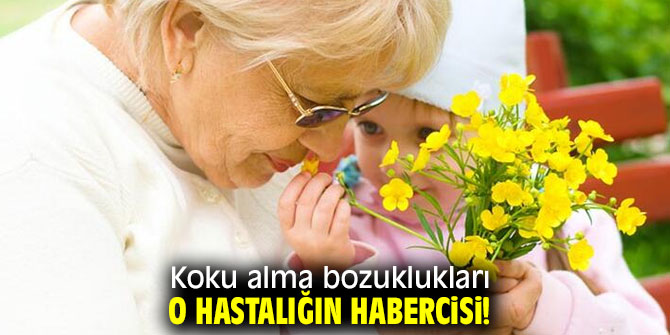 Koku almada sorun yaşıyorsanız dikkat!