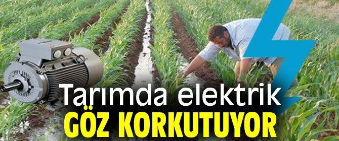 Tarımda elektrik göz korkutuyor