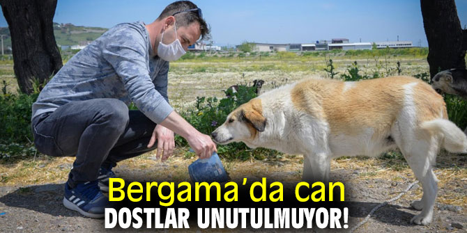 Bergama Belediyesi can dostları unutmadı!