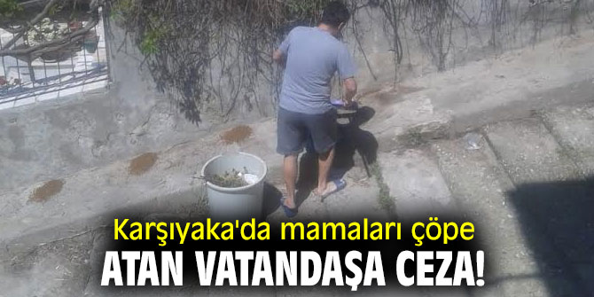 Karşıyaka'da mamaları çöpe atan vatandaşa ceza!