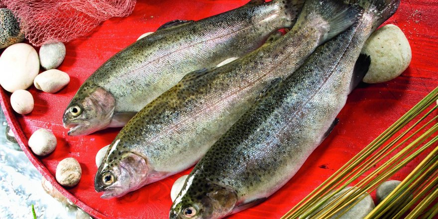 "Evde Hayat, Sofrada Balık" kampanyası devam ediyor!