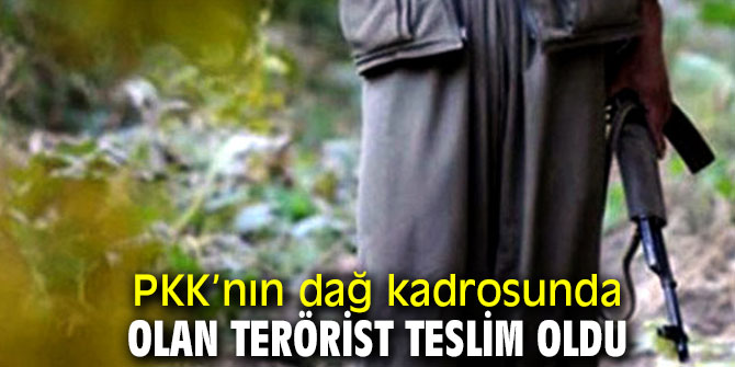 “Terör örgütünün dağ kadrosunda olan terörist teslim oldu”