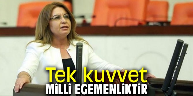 Tek kuvvet milli egemenliktir