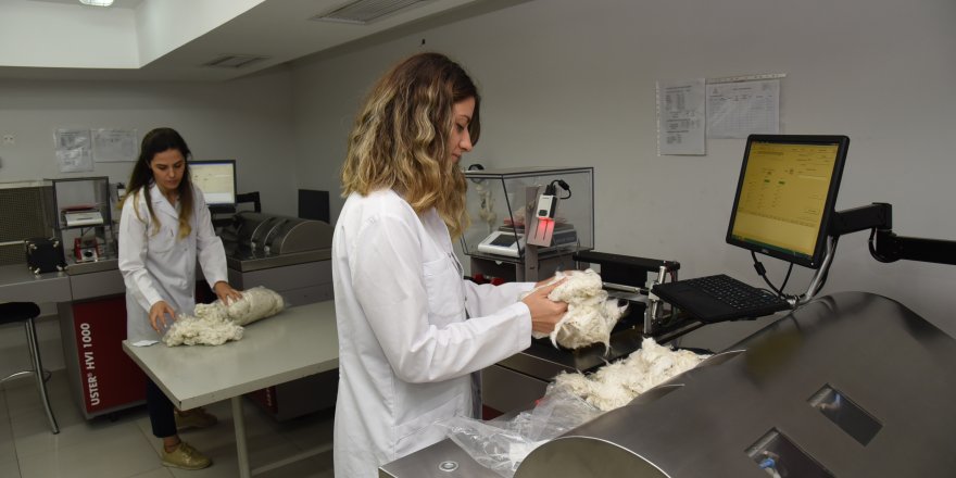 İZLADAŞ, dünya birincisi oldu!