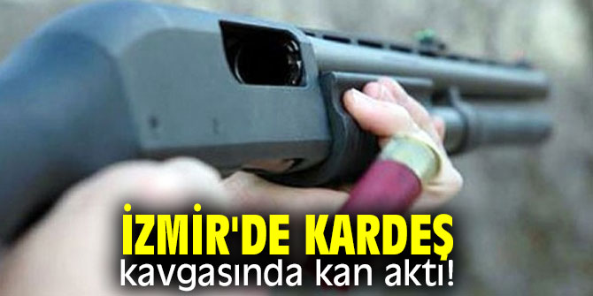 İzmir'de kardeş kavgasında kan aktı!