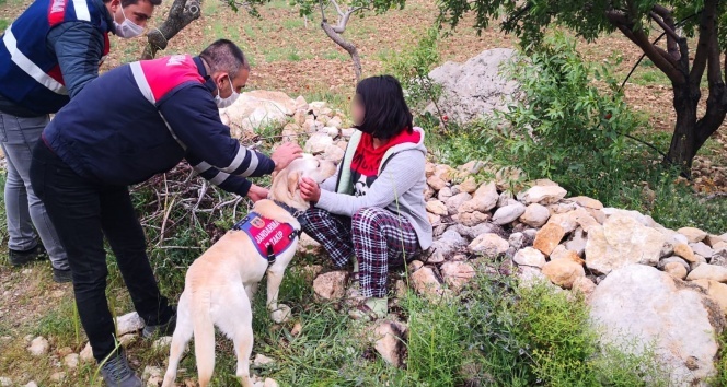 Kayıp kız çocuğu ormanlık alanda...