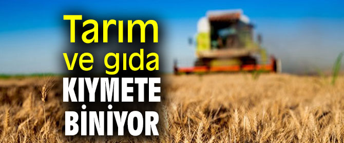Tarım ve gıdanın kıymeti anlaşıldı!