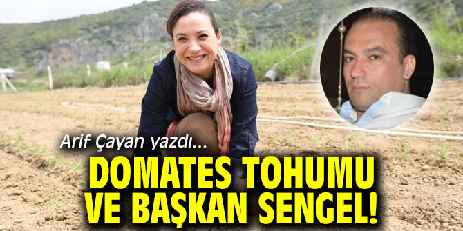 Domates Tohumu ve Başkan Sengel!