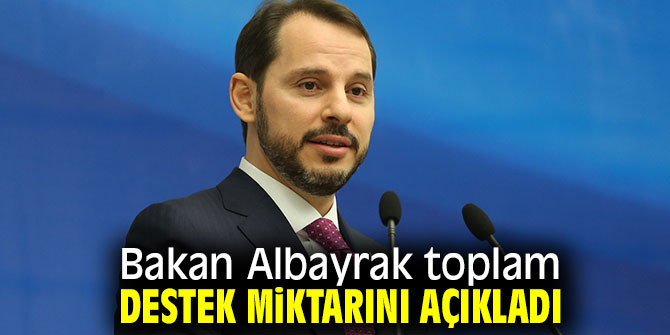 Bakan Albayrak toplam destek miktarını açıkladı 