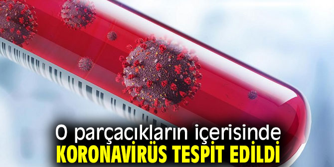 O parçacıkların içerisinde koronavirüs tespit edildi