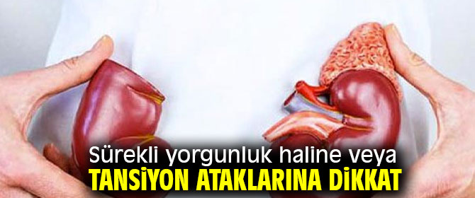 Uzmanı uyardı! Böbrek üstü bezinde oluşabilecek tümörlere dikkat!