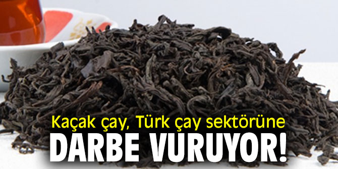 Kaçak çay, Türk çay sektörüne darbe vuruyor!