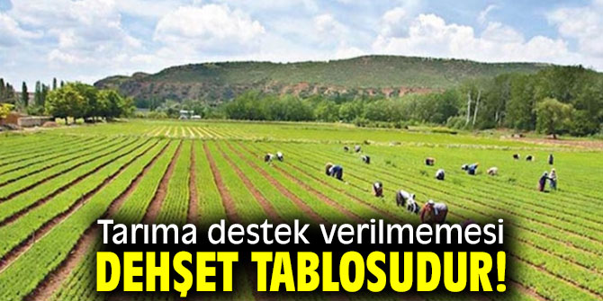 Tarıma destek verilmemesi dehşet tablosudur!