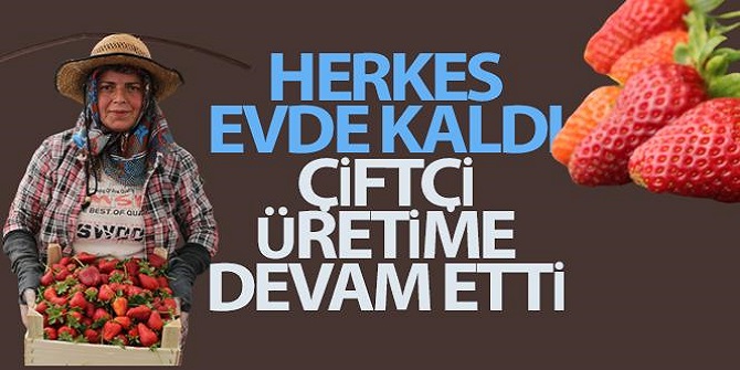 Çftçi üretime devam ediyor.