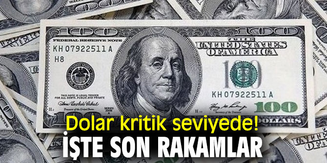 Dolar kritik seviyede! İşte son rakamlar...