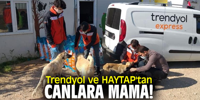 Trendyol ve HAYTAP'tan canlara mama!