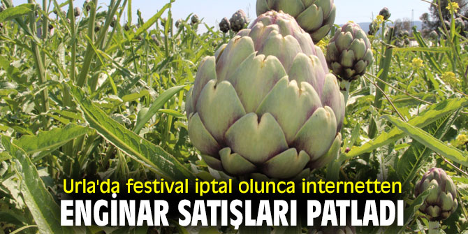 İnternetten enginar satışları patladı!