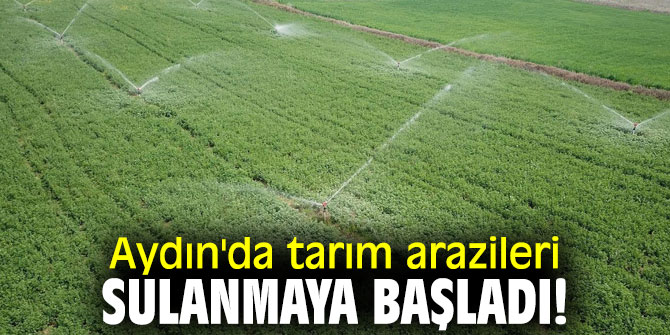 Aydın'da tarım arazileri sulanmaya başladı!