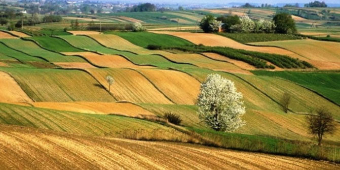Pandemi Sonrası Tarım Alanları Değerlenecek!