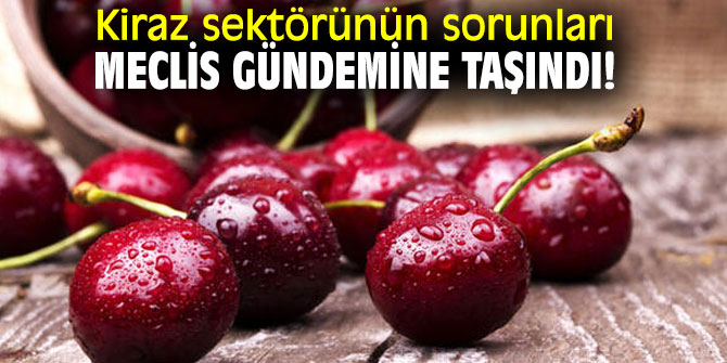 Kiraz sektörünün sorunları Meclis gündemine taşındı!