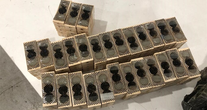 Bin 500 canlı kraliçe arı ele geçirildi