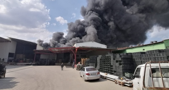 Soğuk hava deposunda yangın