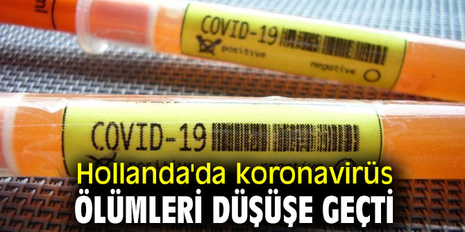 Hollanda'da sevindiren düşüş!