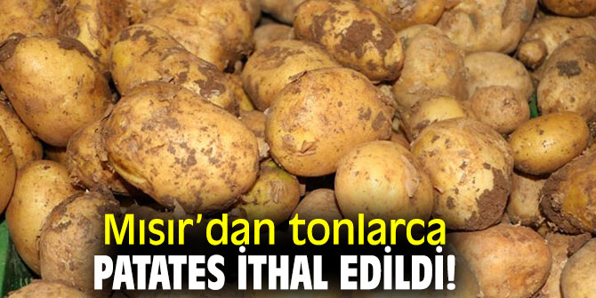 Mısır’dan tonlarca patates ithal edildi!