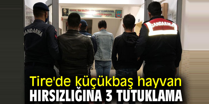 İzmir Tire'de küçükbaş hayvan hırsızlığına 3 tutuklama