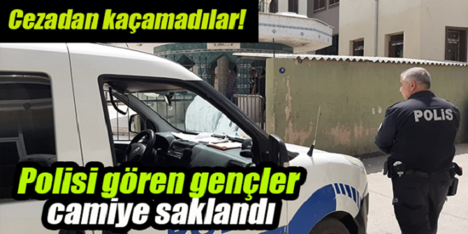 Kendinizi tavuk mu sanıyorsunuz?