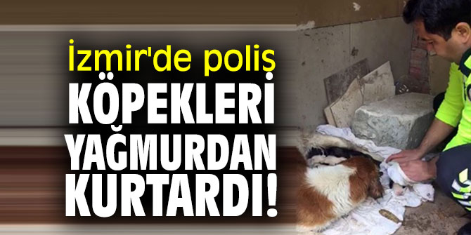 İzmir'de polis köpekleri yağmurdan kurtardı!