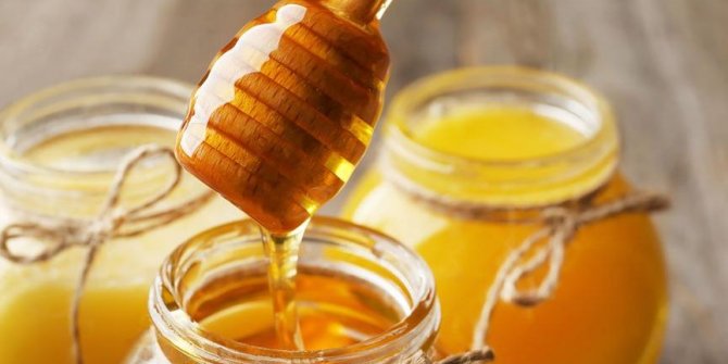 Türk Gıda Kodeksi Bal Standardı Değişti!