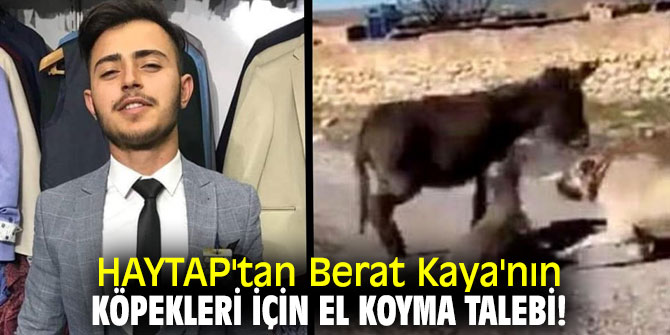 HAYTAP'tan Berat Kaya'nın köpekleri için el koyma talebi!