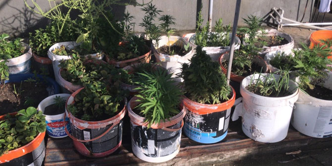 Uyuşturucu operasyonunda 3 gözaltı