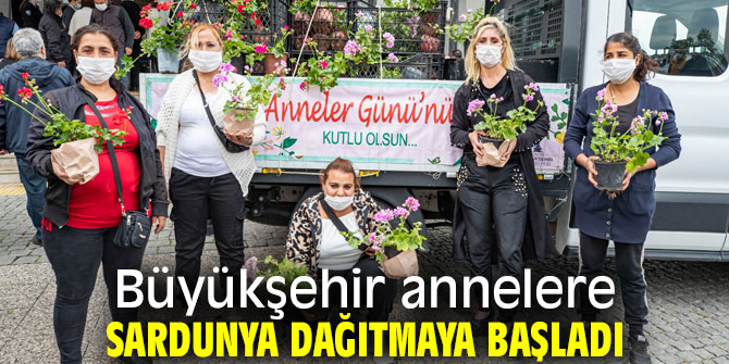 Büyükşehir annelere sardunya dağıtmaya başladı