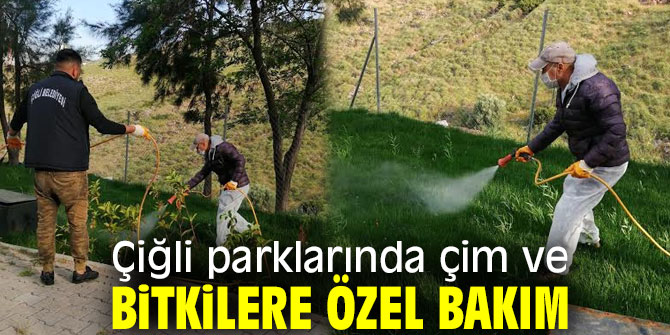 Çiğli parklarında çim ve bitkilere özel bakım