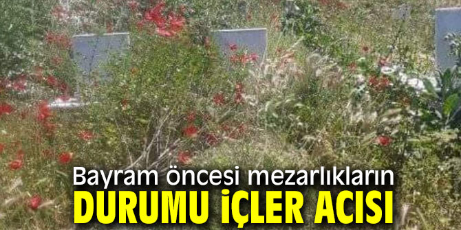 Mezarlıkların durumu içler acısı!