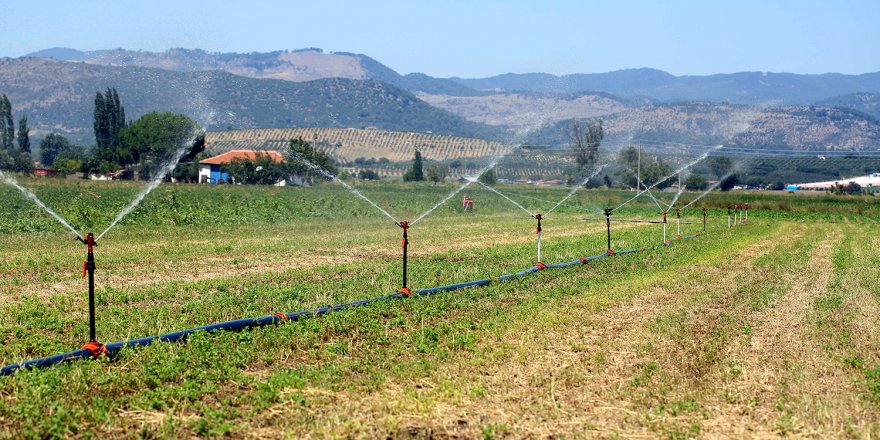 İzmir'de 400 Bin Dekar Tarım Arazisi Sulandı