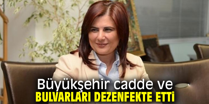 Büyükşehir cadde ve bulvarları dezenfekte etti