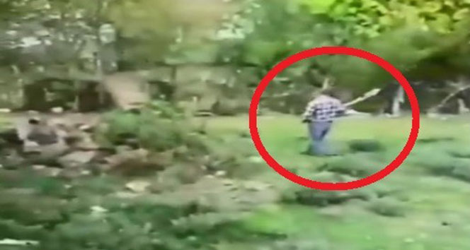 Köpeğini kürekle döverek öldürmüştü! Ceza yağdı