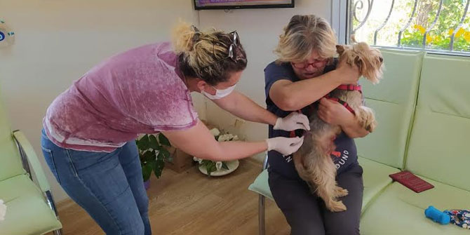 Kuduz Aşılama Programı Uzatıldı