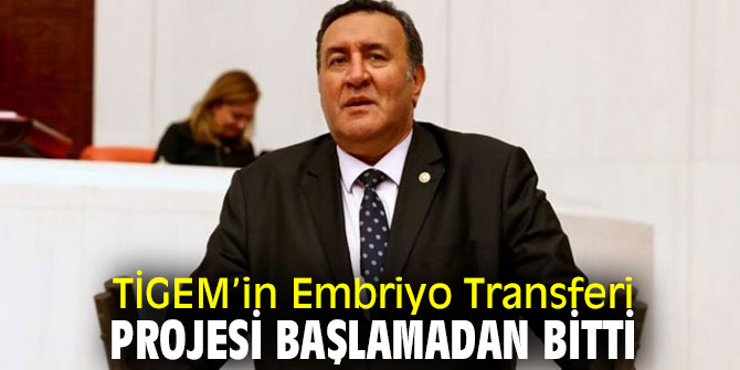 TİGEM’in Embriyo Transferi Projesi başarısız oldu!