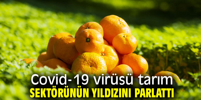 Covid-19 virüsü tarım sektörünün yıldızını parlattı