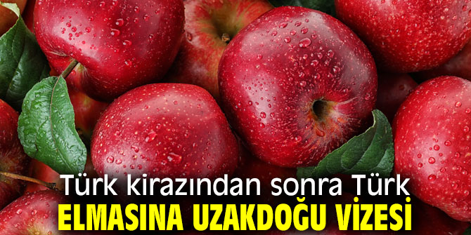 Türk elmasına Uzakdoğu vizesi!